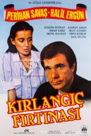 Kırlangıç Fırtınası 1985 on netflix