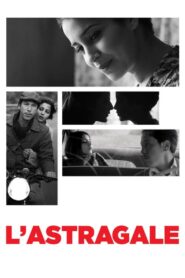 Astragal 2015 on netflix