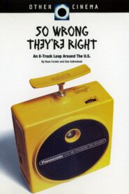 So Wrong They’re Right 1995 on netflix