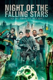 Night of the Falling Stars 2021 on netflix