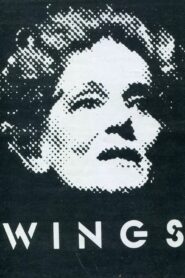 Wings 1983 on netflix