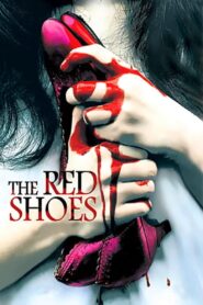 The Red Shoes 2005 on netflix