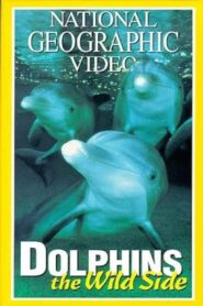 Dolphins: The Wild Side 1999 on netflix