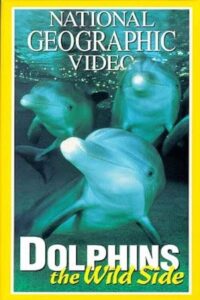 Dolphins: The Wild Side 1999 on netflix