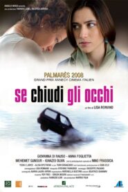 Se chiudi gli occhi 2008 on netflix