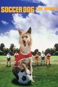 Soccer Dog: The Movie 1999 on netflix