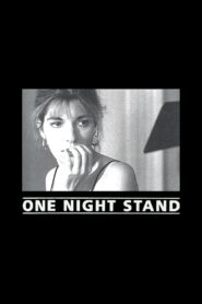 One Night Stand 1994 on netflix
