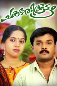 Changathikoottam 2009 on netflix