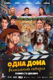 Alone at Home. The Magnificent Five 2024 on netflix