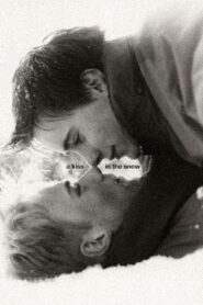 A Kiss in the Snow 1997 on netflix