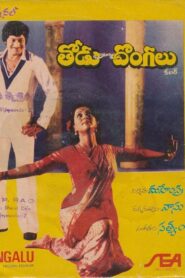 Todu Dongalu 1981 on netflix