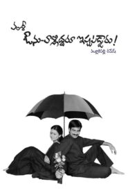 Avunu Valliddaru Ishtapaddaru! 2002 on netflix
