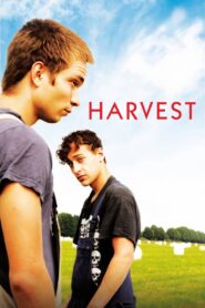 Harvest 2011 on netflix