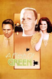 A Flash of Green 1984 on netflix