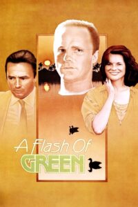 A Flash of Green 1984 on netflix