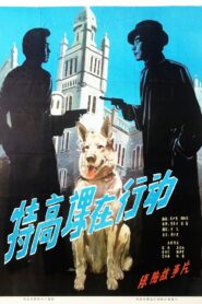 The Secret Service in Action 1981 on netflix