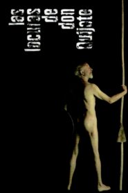 Las locuras de don Quijote 2006 on netflix