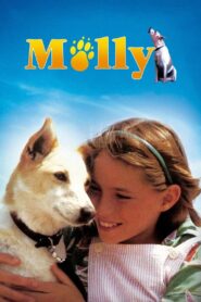 Molly 1983 on netflix