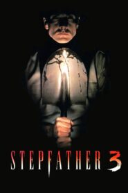 Stepfather 3 1992 on netflix