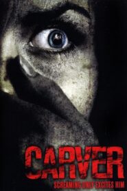 Carver 2008 on netflix