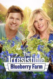 The Irresistible Blueberry Farm 2016 on netflix