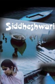 Siddheshwari 1990 on netflix