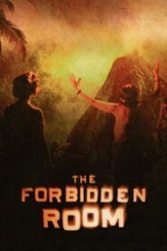 The Forbidden Room 2015 on netflix