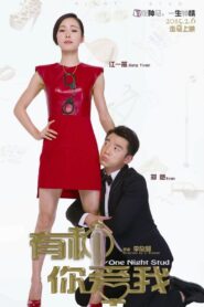 One Night Stud 2015 on netflix