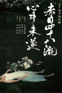 Akame 48 Waterfalls 2003 on netflix