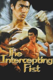 Bruce Lee: The Intercepting Fist 1998 on netflix