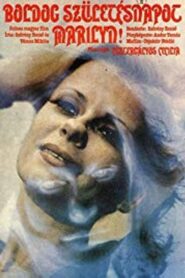 Happy Birthday, Marilyn! 1980 on netflix