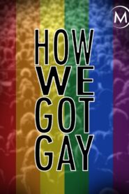 How We Got Gay 2013 on netflix