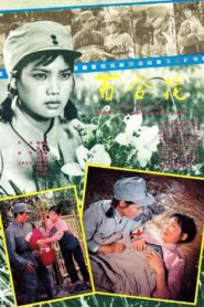 Bai he hua 1981 on netflix