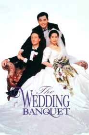 The Wedding Banquet 1993 on netflix