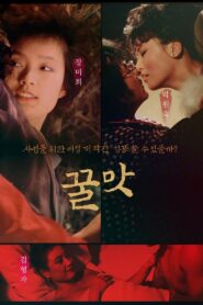 꿀맛 1982 on netflix
