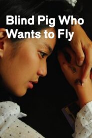 Blind Pig Who Wants to Fly 2008 on netflix