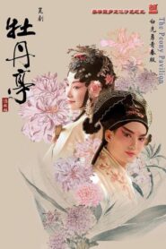 The Peony Pavilion Young Lovers’ Edition 2024 on netflix