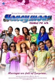 Honeymoon Travels Pvt. Ltd. 2007 on netflix