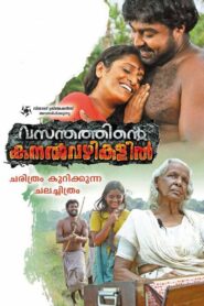 Vasanthathinte Kanal Vazhikalil 2014 on netflix