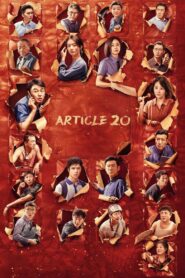 Article 20 2024 on netflix