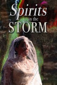 Spirits in the Storm 2019 on netflix
