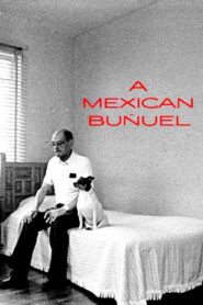 A Mexican Buñuel 1997 on netflix