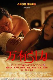 The Law of Attraction 2011 on netflix
