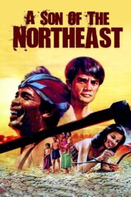 A Son of the Northeast 1982 on netflix