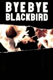 Bye Bye Blackbird 2005 on netflix