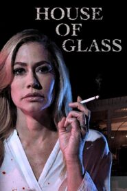 House of Glass 2021 on netflix
