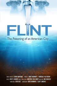 Flint: The Poisoning of an American City 2019 on netflix