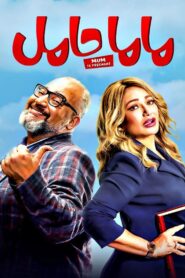 Mom Is Pregnant 2021 on netflix