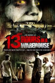 13 Hours in a Warehouse 2008 on netflix