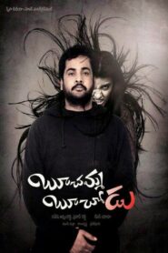 Boochamma Boochodu 2014 on netflix